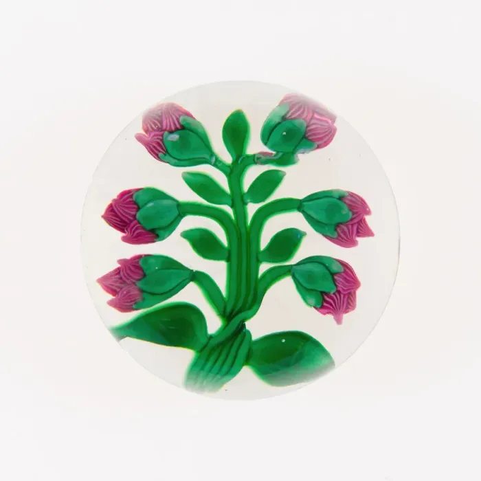 Framed Print : Paperweight, France, 19th century. Creator: Baccarat Glasshouse Framed Print : Paperweight, France, 19th century. Creator: Baccarat Glasshouse