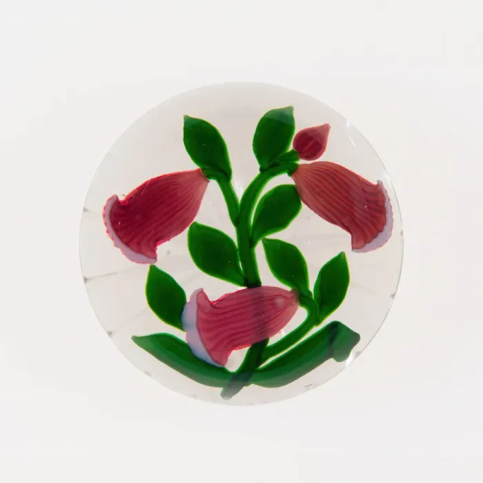 Framed Print : Paperweight, France, 19th century. Creator: Baccarat Glasshouse Framed Print : Paperweight, France, 19th century. Creator: Baccarat Glasshouse