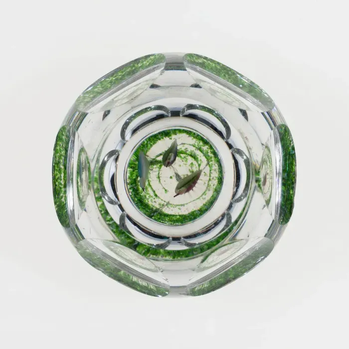 Framed Print : Paperweight, France, 19th century. Creator: Baccarat Glasshouse Framed Print : Paperweight, France, 19th century. Creator: Baccarat Glasshouse