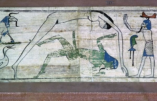 Detail of the papyrus of Temnieu, showing the cosmos