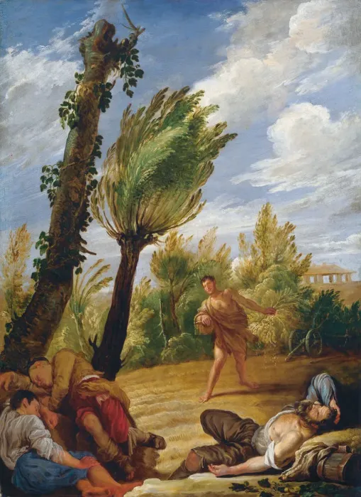 Framed Print : The Parable of the Wheat and the Tares, 1620s. Creator: Fetti, Domenico (1588 / 90-1623) Framed Print : The Parable of the Wheat and the Tares, 1620s. Creator: Fetti, Domenico (1588 / 90-1623)