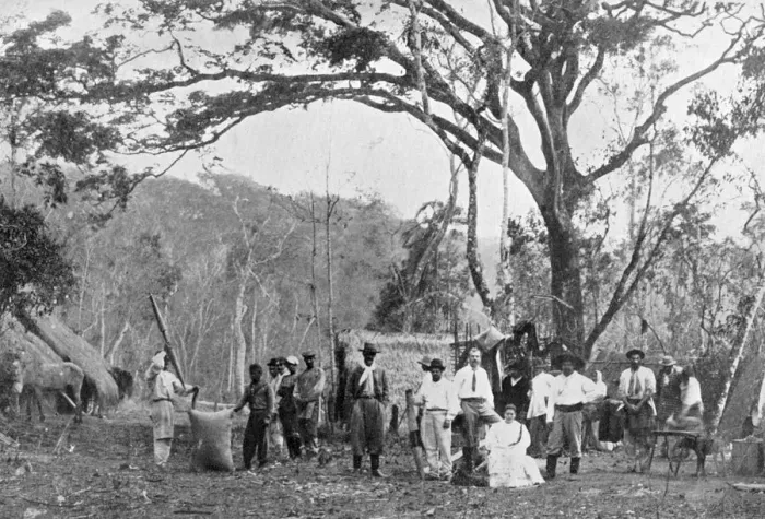 Framed Print : Paraguayan tea gathering, Paraguay, 1911 Framed Print : Paraguayan tea gathering, Paraguay, 1911
