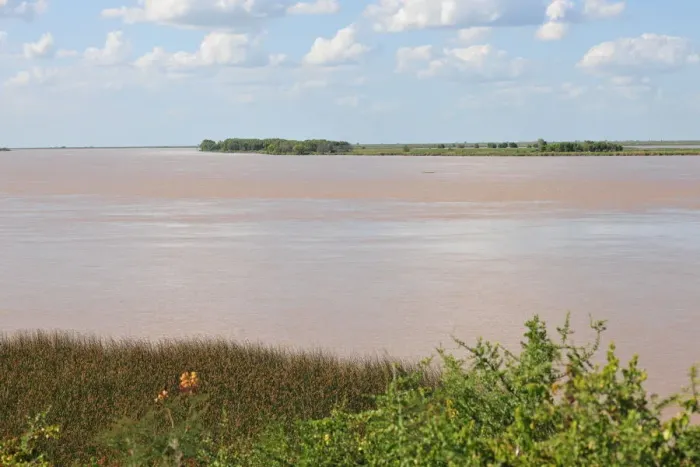 Framed Print : Parana River, Buenos Aires, Argentina, 2015. Creator: Luis Rosendo Framed Print : Parana River, Buenos Aires, Argentina, 2015. Creator: Luis Rosendo