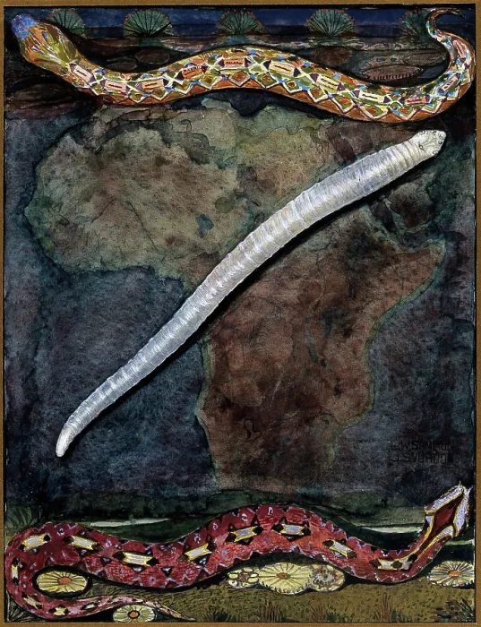 Framed Print : Parasites: a parasitical worm, shown much enlarged, with its hosts, c1930. Creator: J Svoboda Framed Print : Parasites: a parasitical worm, shown much enlarged, with its hosts, c1930. Creator: J Svoboda