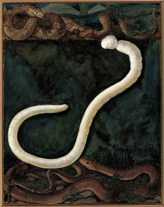 Framed Print : Parasites: a parasitical worm, shown much enlarged, with its hosts, c1930. Creator: J Svoboda Framed Print : Parasites: a parasitical worm, shown much enlarged, with its hosts, c1930. Creator: J Svoboda