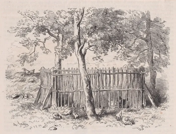 Framed Print : Parc aeleves;from Magasin Pittoresque, ca. 1852 Framed Print : Parc aeleves;from Magasin Pittoresque, ca. 1852