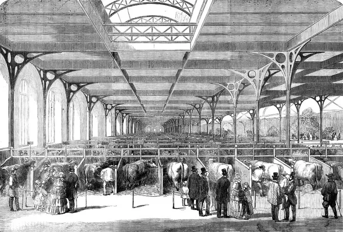Framed Print : The Paris Agricultural Exhibition - the Cattle - general view, 1856. Creator: Unknown Framed Print : The Paris Agricultural Exhibition - the Cattle - general view, 1856. Creator: Unknown