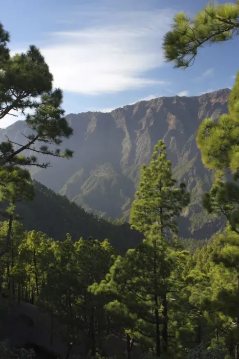 Framed Print : Parque Nacional de la Caldera de Taburiente, La Palma, Canary Islands, Spain, 2009 Framed Print : Parque Nacional de la Caldera de Taburiente, La Palma, Canary Islands, Spain, 2009