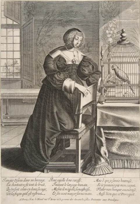 Framed Print : The Parrot, 1620-76. Creator: Abraham Bosse Framed Print : The Parrot, 1620-76. Creator: Abraham Bosse