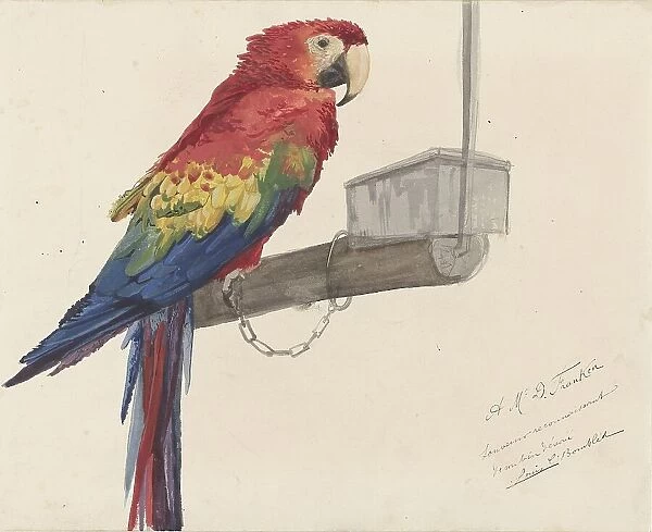 Parrot, 1879. Creator: Louis Charles Bombled