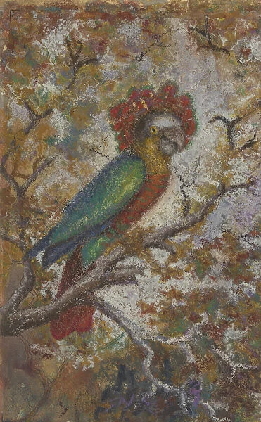 Parrot, 1909. Creator: William N. Buckner