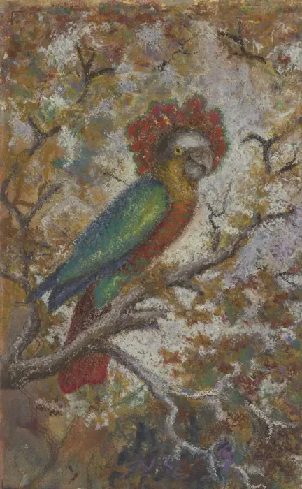 Framed Print : Parrot, 1909. Creator: William N. Buckner Framed Print : Parrot, 1909. Creator: William N. Buckner