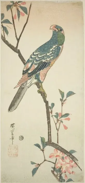 Framed Print : Parrot on a blossoming branch, 1830s. Creator: Ando Hiroshige Framed Print : Parrot on a blossoming branch, 1830s. Creator: Ando Hiroshige