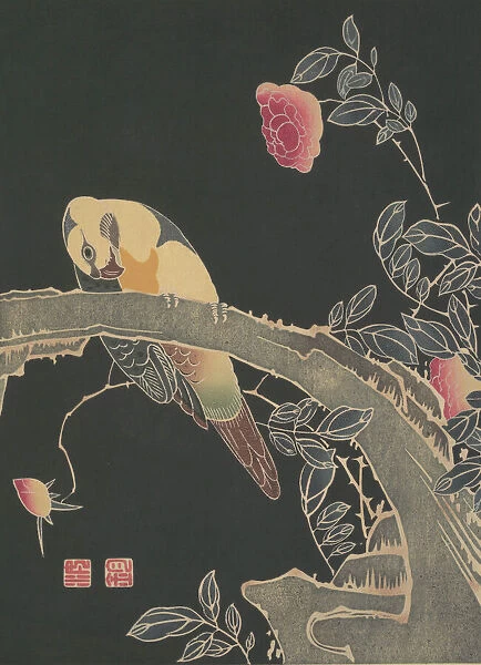 Parrot on the Branch of a Flowering Rose Bush, ca. 1900. Creator: Ito Jakuchu