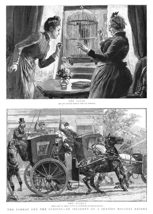 Framed Print : The Parrot and the Cabbies - An Incident at a Seaside Holiday Resort, 1891 Framed Print : The Parrot and the Cabbies - An Incident at a Seaside Holiday Resort, 1891