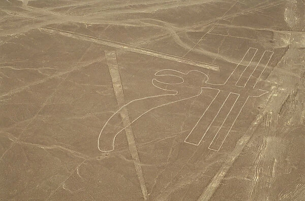 The Parrot, Nazca Lines, Ica, Peru, 2015. Creator: Luis Rosendo
