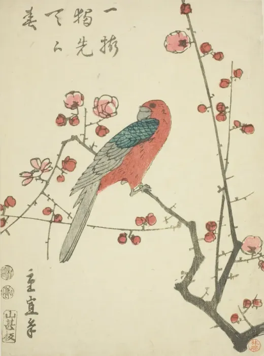 Framed Print : Parrot on plum branch, c. 1848 / 52. Creator: Utagawa Hiroshige II Framed Print : Parrot on plum branch, c. 1848 / 52. Creator: Utagawa Hiroshige II