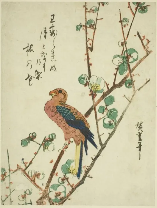 Framed Print : Parrot on plum tree, 1830s. Creator: Ando Hiroshige Framed Print : Parrot on plum tree, 1830s. Creator: Ando Hiroshige