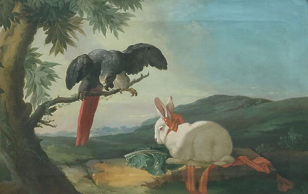 Parrot and Rabbit, 1750s. Creator: Johan Pasch