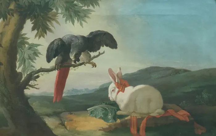 Framed Print : Parrot and Rabbit, 1750s. Creator: Johan Pasch Framed Print : Parrot and Rabbit, 1750s. Creator: Johan Pasch