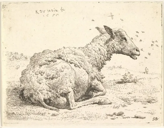 Framed Print : Partially shorn sheep lying in the grass with insects hovering around its head, 1655