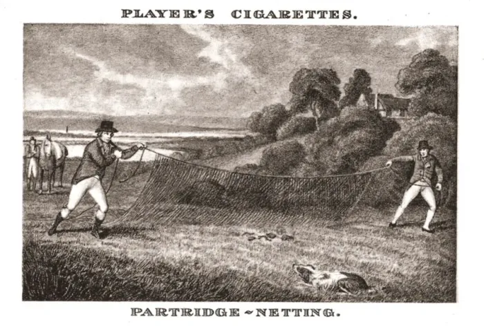 Framed Print : Partridge-Netting, (1924). Creator: Unknown Framed Print : Partridge-Netting, (1924). Creator: Unknown