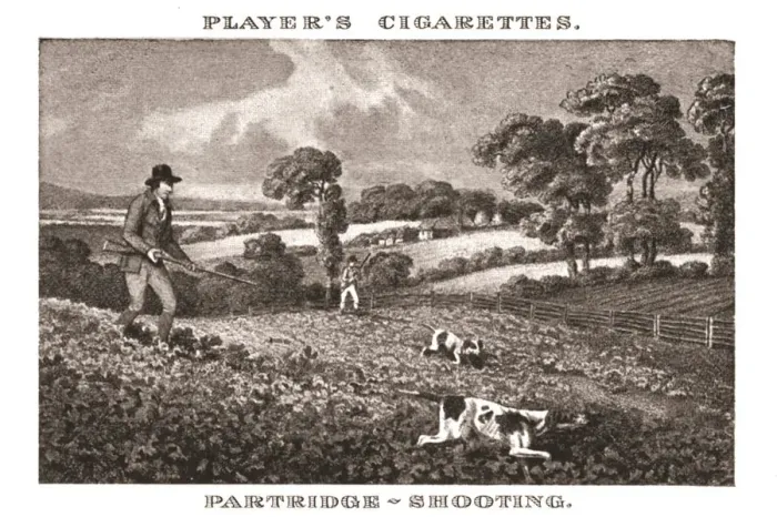 Framed Print : Partridge-Shooting, (1924). Creator: Unknown Framed Print : Partridge-Shooting, (1924). Creator: Unknown