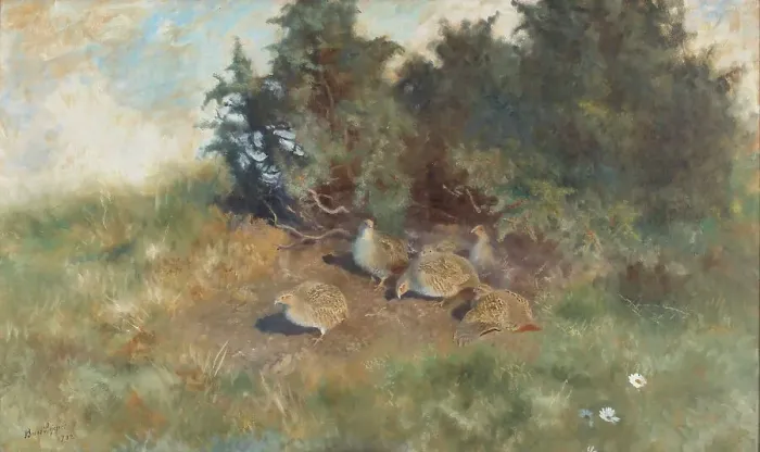 Framed Print : Partridges, 1922. Creator: Bruno Liljefors Framed Print : Partridges, 1922. Creator: Bruno Liljefors