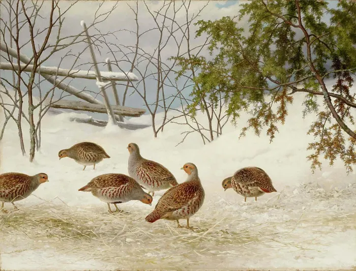 Framed Print : Partridges in Snow, 1895. Creator: Ferdinand von Wright Framed Print : Partridges in Snow, 1895. Creator: Ferdinand von Wright