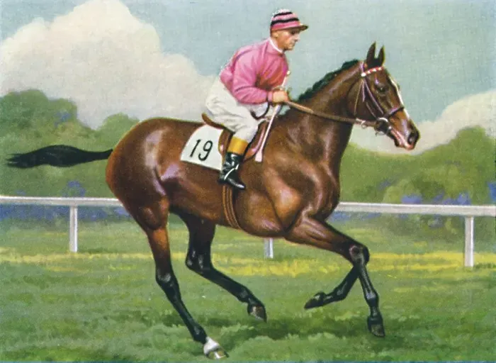 Framed Print : Pasch, Jockey: G. Richards, 1939 Framed Print : Pasch, Jockey: G. Richards, 1939