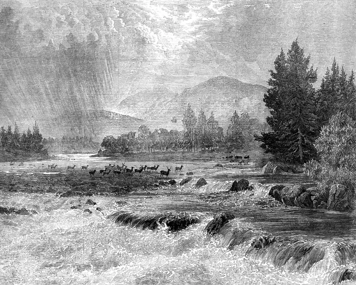 Framed Print : Passing Showers - Forest of Glentanner, Aberdeenshire, by E. A. Waterlow, 1873. Creator: Unknown