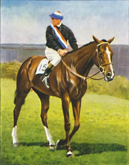 Framed Print : Path of Peace, Jockey: M. Beary, 1939 Framed Print : Path of Peace, Jockey: M. Beary, 1939