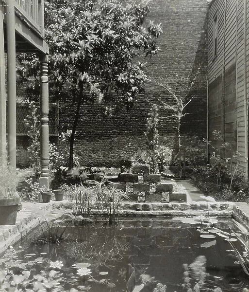My patio court, March 21 to May, 1946. Creator: Frances Benjamin Johnston