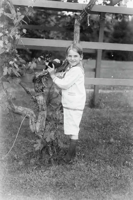 Framed Print : Paul Carter, between c1915 and c1920. Creator: Bain News Service Framed Print : Paul Carter, between c1915 and c1920. Creator: Bain News Service