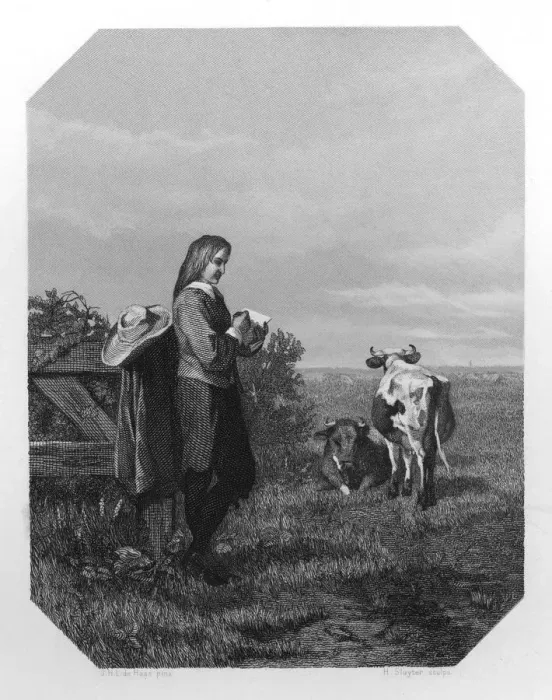 Framed Print : Paulus Potter, 17th century Dutch painter, c1870. Artist: H Sluyter Framed Print : Paulus Potter, 17th century Dutch painter, c1870. Artist: H Sluyter