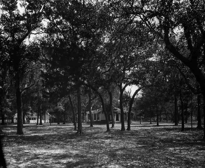Framed Print : Pavilion behind trees, possibly Southern States, c1901. Creator: Unknown Framed Print : Pavilion behind trees, possibly Southern States, c1901. Creator: Unknown
