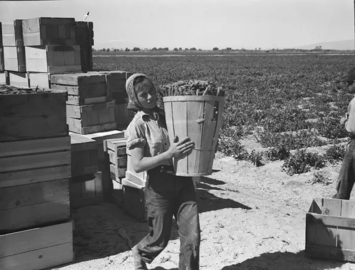 Framed Print : Pea picker, Imperial Valley, California, 1939. Creator: Dorothea Lange Framed Print : Pea picker, Imperial Valley, California, 1939. Creator: Dorothea Lange