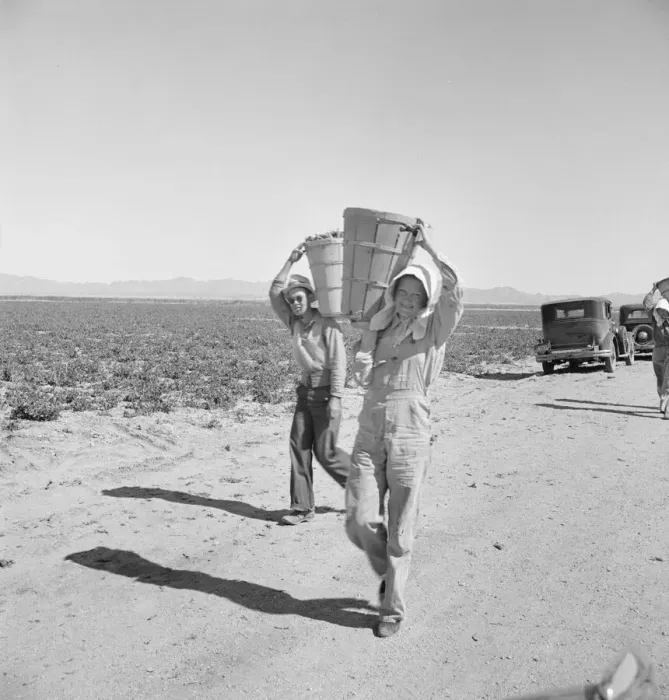 Framed Print : Pea pickers coming in to the weigh master, Sinclair Ranch, near Calipatria, California, 1939. Creator: Dorothea Lange Framed Print : Pea pickers coming in to the weigh master, Sinclair Ranch, near Calipatria, California, 1939. Creator: Dorothea Lange