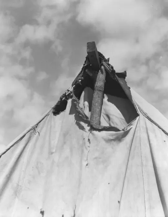 Framed Print : Pea pickers tent near San Jose, California, 1939. Creator: Dorothea Lange Framed Print : Pea pickers tent near San Jose, California, 1939. Creator: Dorothea Lange