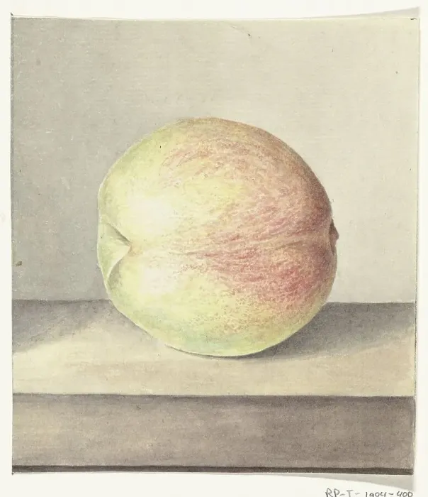 Framed Print : Peach, 1775-1833. Creator: Jean Bernard Framed Print : Peach, 1775-1833. Creator: Jean Bernard