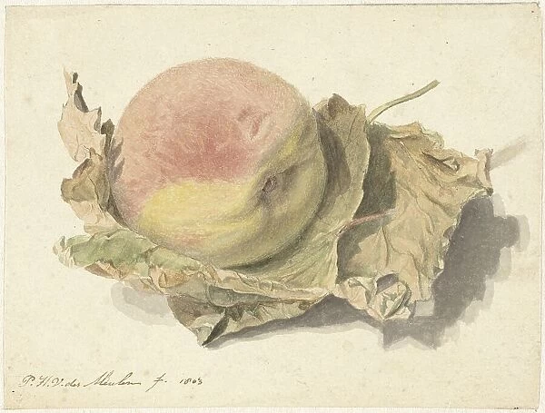 Peach on two leaves, 1803. Creator: Pieter van der Meulen