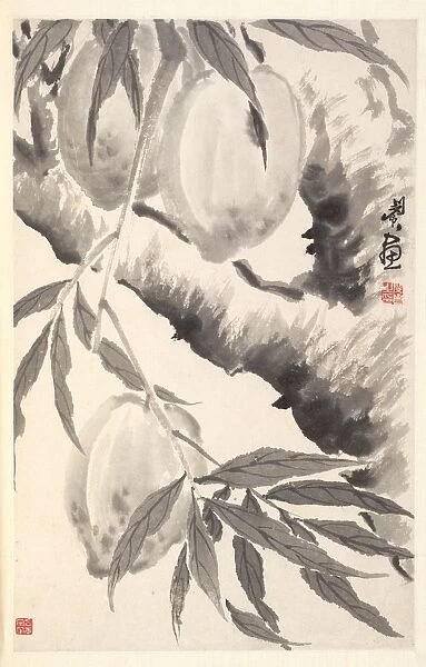 Peaches, 1788. Creator: Min Zhen (Chinese, 1730-after 1788)