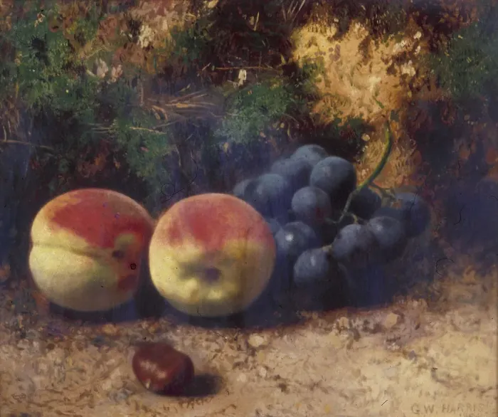 Framed Print : Peaches and Grapes, 1864. Artist: George Walter Harris Framed Print : Peaches and Grapes, 1864. Artist: George Walter Harris