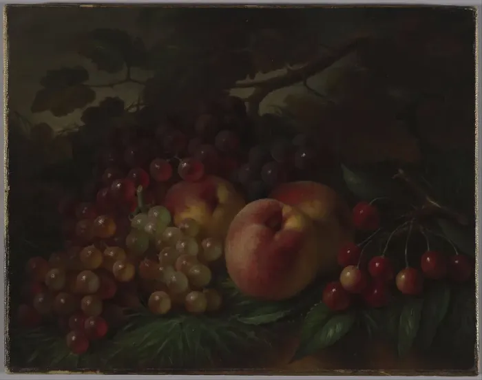 Framed Print : Peaches, Grapes and Cherries, ca 1860-1870. Artist: Hall, George Henry (1825-1913) Framed Print : Peaches, Grapes and Cherries, ca 1860-1870. Artist: Hall, George Henry (1825-1913)