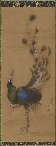 Peacock, 1786. Creator: Mori Sosen
