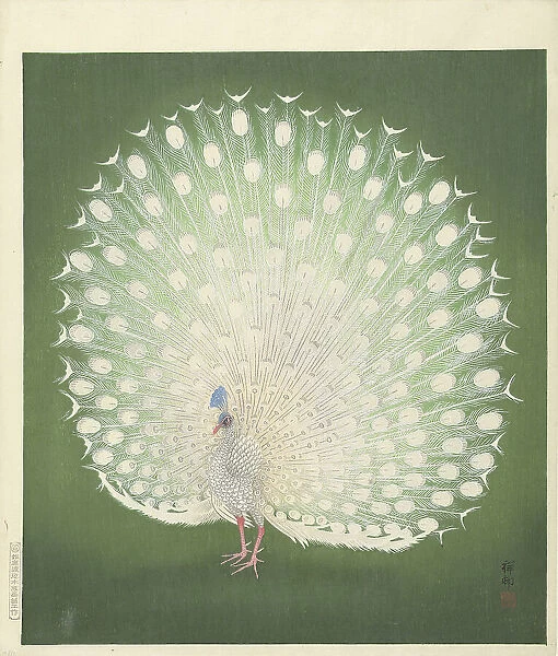 Peacock, 1925-1936. Creator: Ohara, Koson (1877-1945)