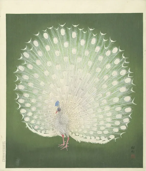 Framed Print : Peacock, 1925-1936. Creator: Ohara, Koson (1877-1945) Framed Print : Peacock, 1925-1936. Creator: Ohara, Koson (1877-1945)
