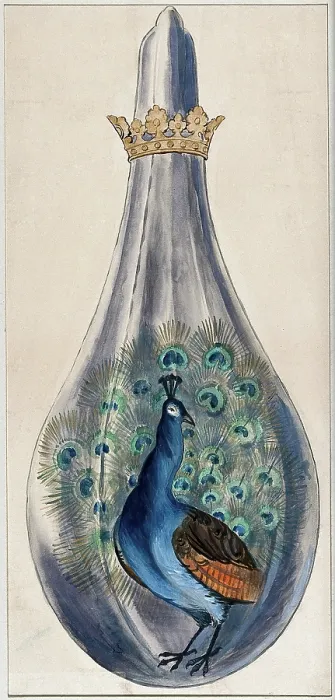 Framed Print : A peacock in a crowned alchemical flask; representing the stage in the alchemical... 1900-1909. Creator: Edith Annie Ibbs Framed Print : A peacock in a crowned alchemical flask; representing the stage in the alchemical... 1900-1909. Creator: Edith Annie Ibbs