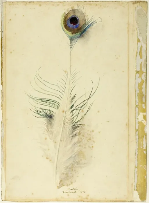 Framed Print : Peacock Feather, 1877. Creator: John Ruskin Framed Print : Peacock Feather, 1877. Creator: John Ruskin