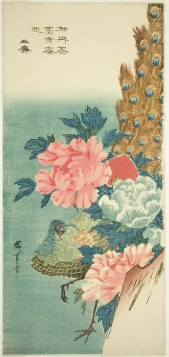 Framed Print : Peacock and peonies, 1830s. Creator: Ando Hiroshige Framed Print : Peacock and peonies, 1830s. Creator: Ando Hiroshige